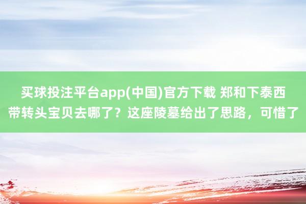 买球投注平台app(中国)官方下载 郑和下泰西带转头宝贝去哪了？这座陵墓给出了思路，可惜了
