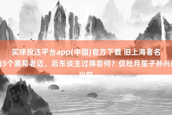 买球投注平台app(中国)官方下载 旧上海著名的3个黑帮老迈，后东谈主过得若何？仅杜月笙子孙兴旺