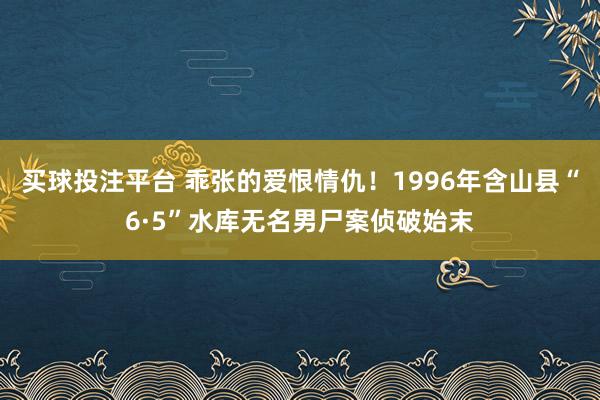 买球投注平台 乖张的爱恨情仇！1996年含山县“6·5”水库无名男尸案侦破始末