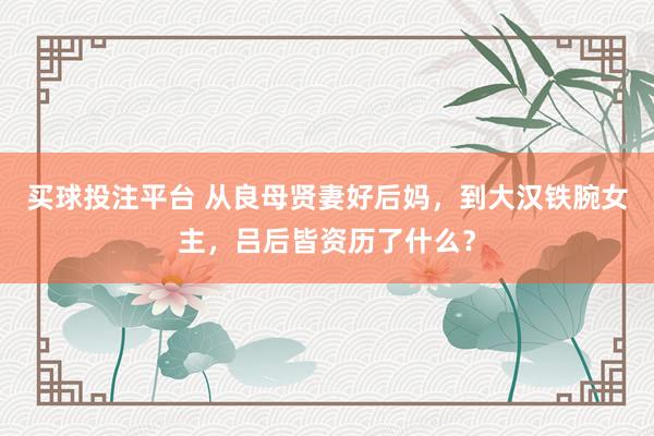买球投注平台 从良母贤妻好后妈，到大汉铁腕女主，吕后皆资历了什么？