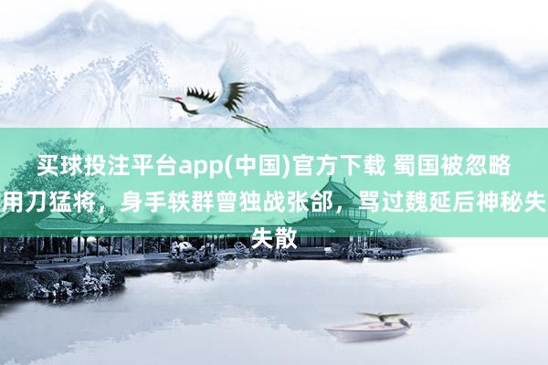 买球投注平台app(中国)官方下载 蜀国被忽略的用刀猛将，身手轶群曾独战张郃，骂过魏延后神秘失散