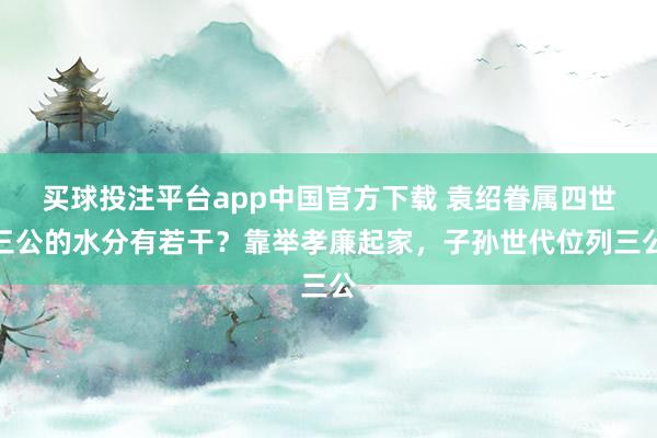 买球投注平台app中国官方下载 袁绍眷属四世三公的水分有若干？靠举孝廉起家，子孙世代位列三公