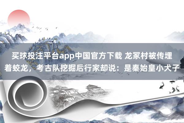 买球投注平台app中国官方下载 龙冢村被传埋着蛟龙,考古队挖掘后行家却说:是秦始皇小犬子