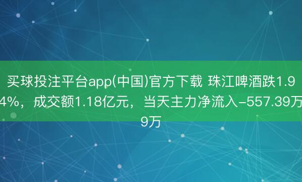 买球投注平台app(中国)官方下载 珠江啤酒跌1.94%，成交额1.18亿元，当天主力净流入-557.39万