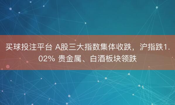 买球投注平台 A股三大指数集体收跌，沪指跌1.02% 贵金属、白酒板块领跌