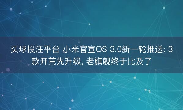 买球投注平台 小米官宣OS 3.0新一轮推送: 3款开荒先升级， 老旗舰终于比及了