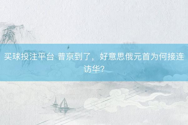买球投注平台 普京到了，好意思俄元首为何接连访华？