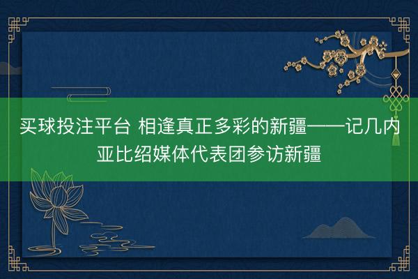 买球投注平台 相逢真正多彩的新疆——记几内亚比绍媒体代表团参访新疆