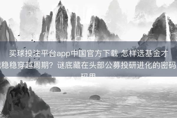 买球投注平台app中国官方下载 怎样选基金才能稳稳穿越周期?谜底藏在头部公募投研进化的密码里