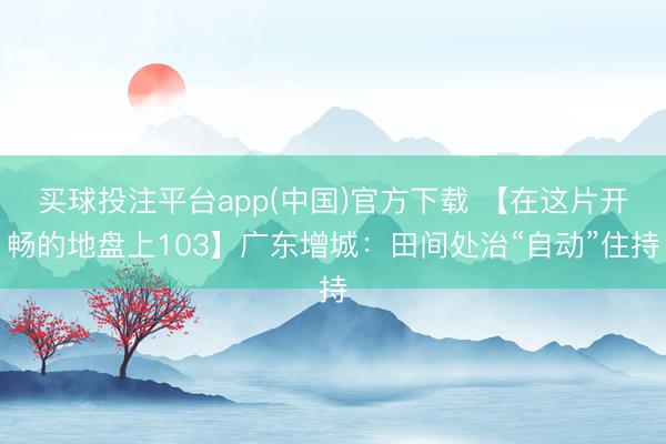 买球投注平台app(中国)官方下载 【在这片开畅的地盘上103】广东增城：田间处治“自动”住持