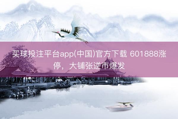 买球投注平台app(中国)官方下载 601888涨停，大铺张逆市爆发