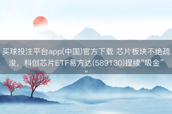 买球投注平台app(中国)官方下载 芯片板块不绝疏浚，科创芯片ETF易方达(589130)捏续“吸金”