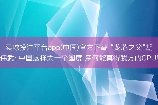 买球投注平台app(中国)官方下载 “龙芯之父”胡伟武: 中国这样大一个国度 奈何能莫得我方的CPU!