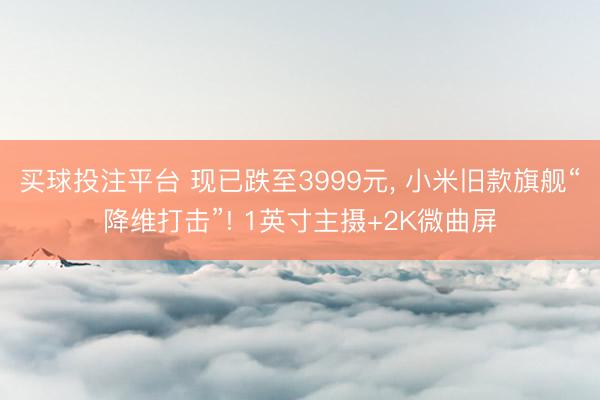 买球投注平台 现已跌至3999元， 小米旧款旗舰“降维打击”! 1英寸主摄+2K微曲屏