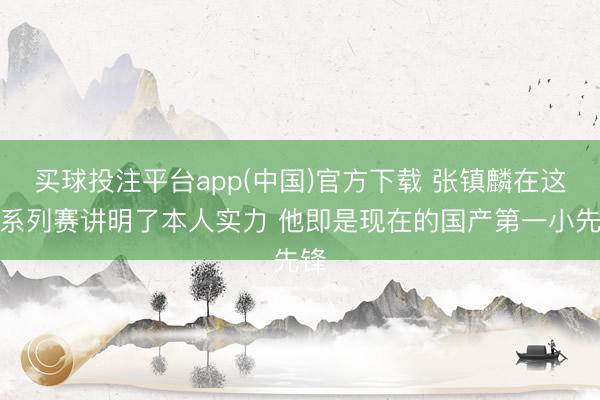 买球投注平台app(中国)官方下载 张镇麟在这个系列赛讲明了本人实力 他即是现在的国产第一小先锋