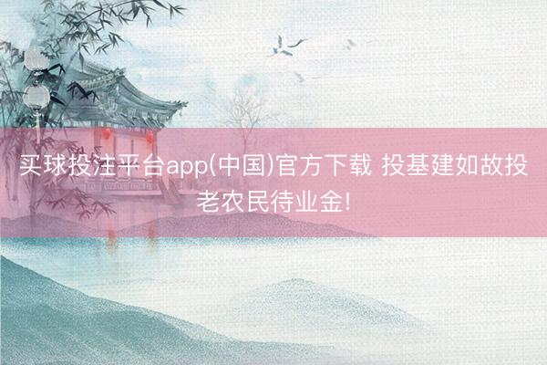 买球投注平台app(中国)官方下载 投基建如故投老农民待业金!