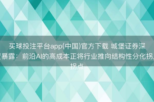买球投注平台app(中国)官方下载 城堡证券深度暴露：前沿AI的高成本正将行业推向结构性分化拐点