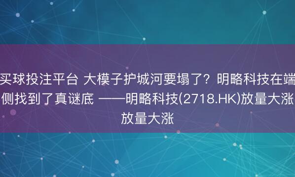 买球投注平台 大模子护城河要塌了？明略科技在端侧找到了真谜底 ——明略科技(2718.HK)放量大涨