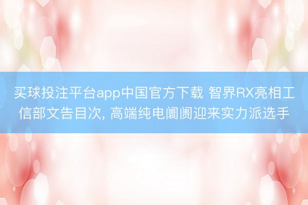 买球投注平台app中国官方下载 智界RX亮相工信部文告目次, 高端纯电阛阓迎来实力派选手