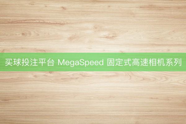 买球投注平台 MegaSpeed 固定式高速相机系列