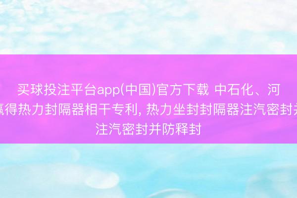 买球投注平台app(中国)官方下载 中石化、河南油田赢得热力封隔器相干专利, 热力坐封封隔器注汽密封并防释封